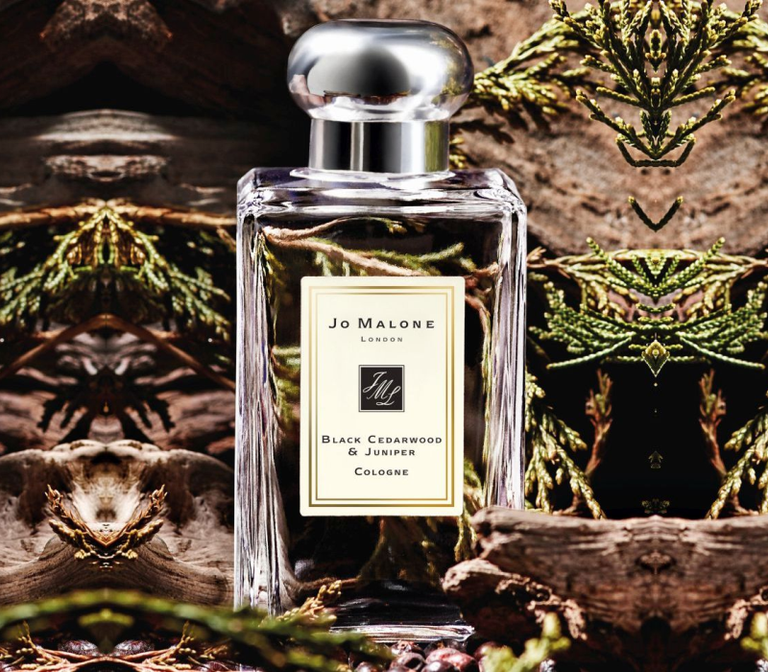 Jo Malone 木質調香水 英國橡樹與榛果香水 黑雪松木與杜松香水 