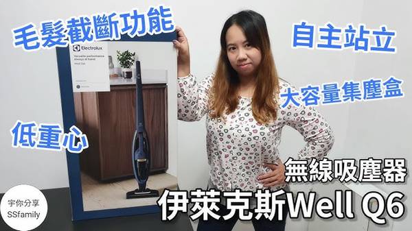 Well Q6 Electrolux 無線吸塵器 